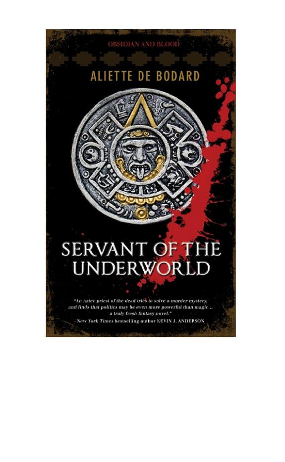 Cover of Servant of the Underworld