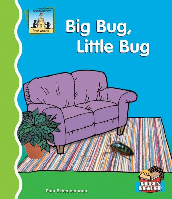 Cover of Big Bug, Little Bug