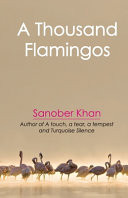 Cover of A Thousand Flamingos