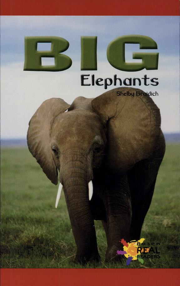 Cover of Big Elephants