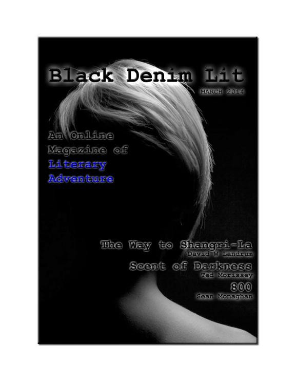 Cover of Black Denim Lit #2: Mar, 2014