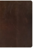 Cover of CSB She Reads Truth Bible, Brown Genuine Leather