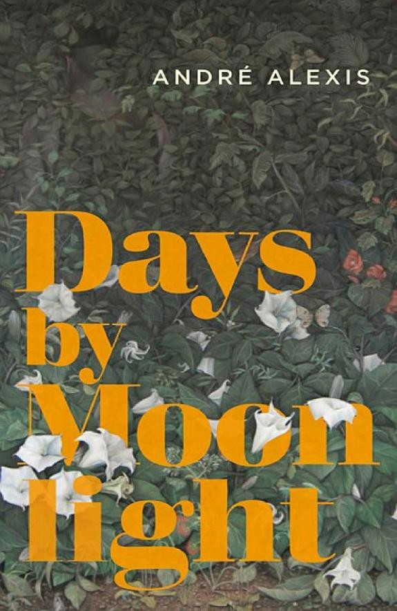 Cover of Days by Moonlight