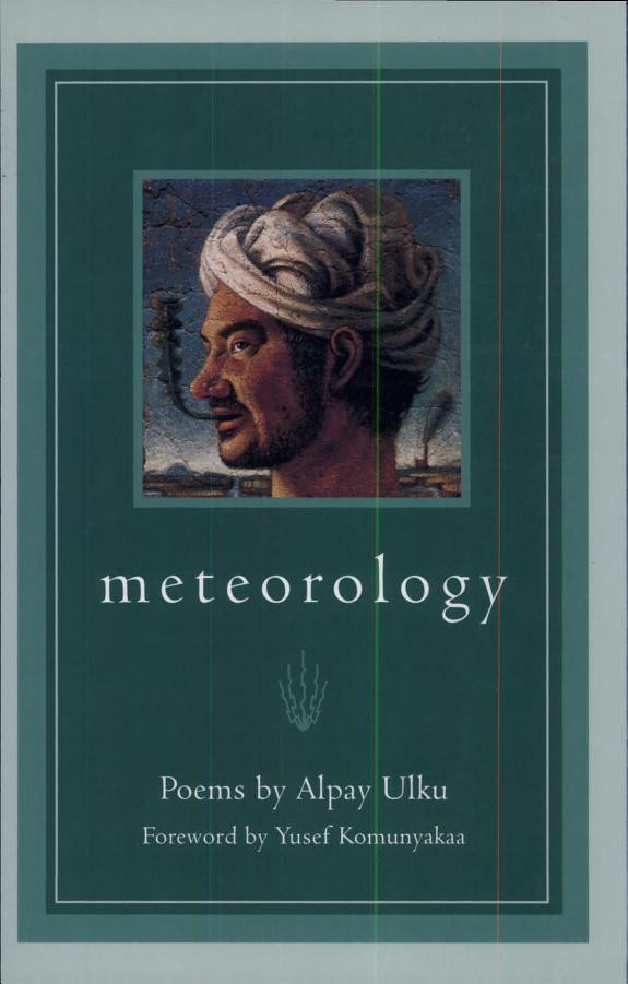 Cover of Meteorology: Poems