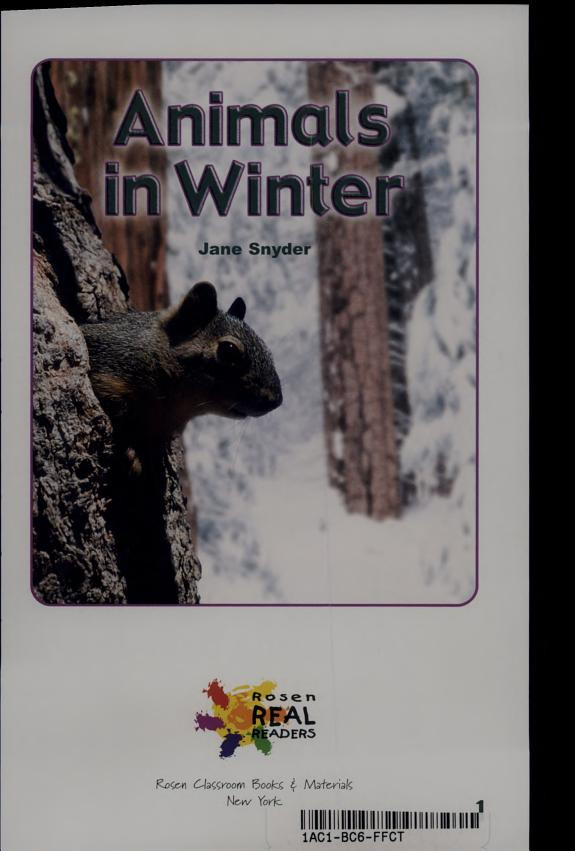 Cover of Animals in Winter