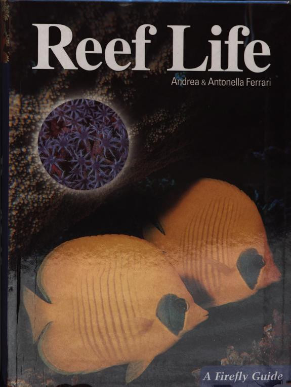 Cover of Reef Life
