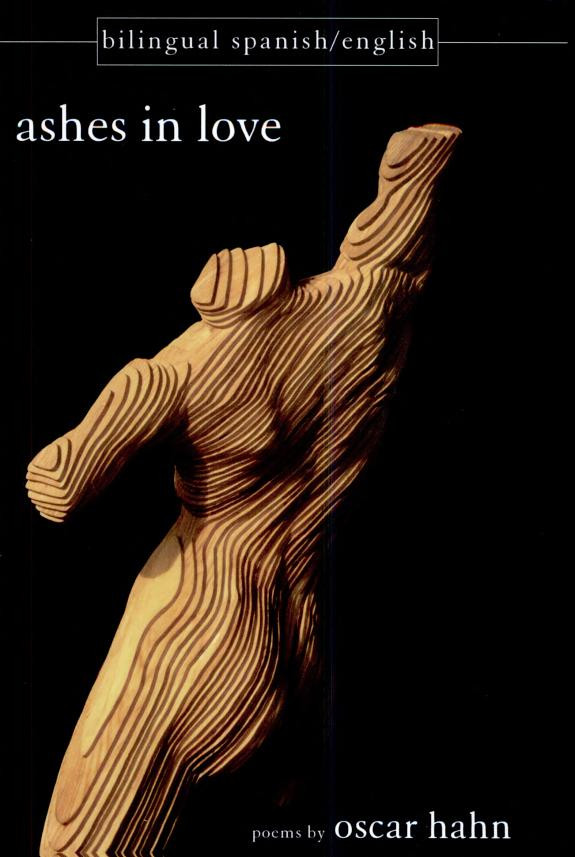 Cover of Ashes in Love