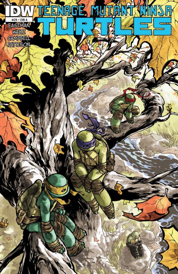 Cover of Teenage Mutant Ninja Turtles #29