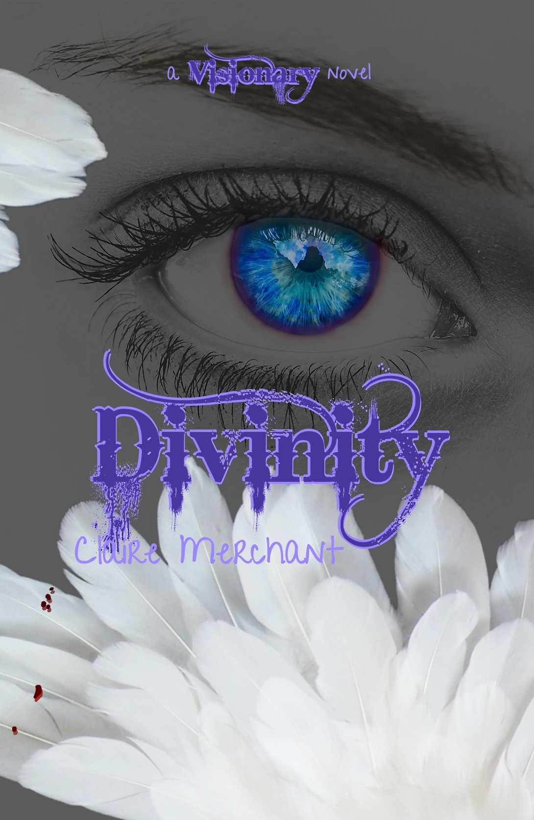 Book cover V3 eye white feathers