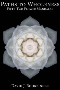 Paths to Wholeness: Fifty-Two Flower Mandalas