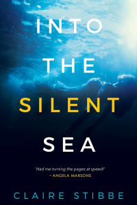 Book cover for Into The Silent Sea