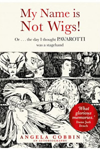 My Name Is Not Wigs