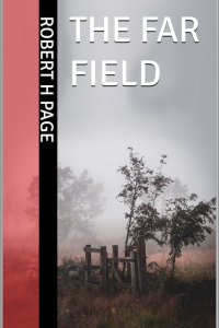 The Far Field - Crime Thriller Mystery by Robert H Page