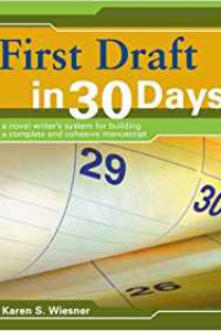 Write Your Novel in 30 Days By Karen S. Wiesner - Bookluver