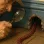 Julion Okram's Cozy Mysteries:  A detective is using a magnifying glass to peer into a mouse hole to which leads a telephone cable.