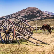 Wild West & Western Stories Group