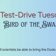 Bird of the Swamp ~ Test-Drive Tuesday
