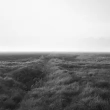 On the Great Hungarian Plain