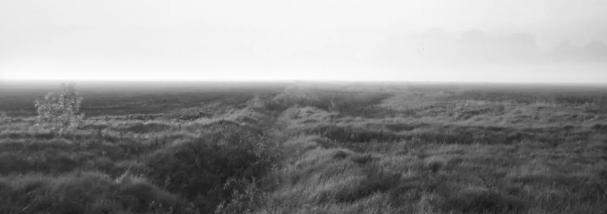 On the Great Hungarian Plain