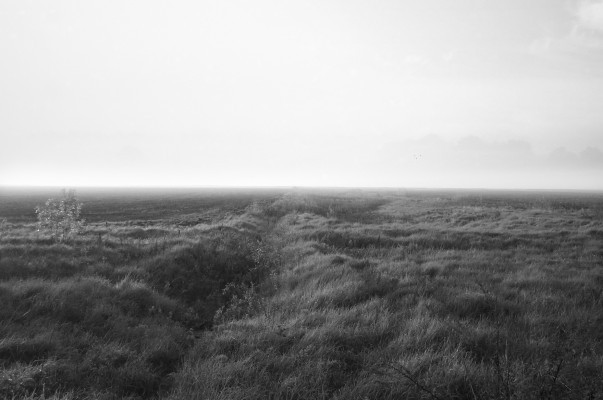 On the Great Hungarian Plain
